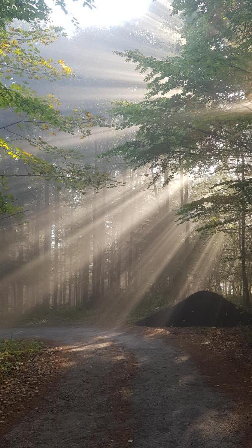 Domek Na Folwarku Тарнава-Дольна Екстер'єр фото