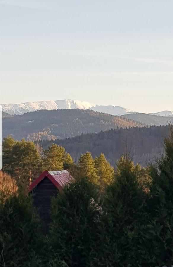 Domek Na Folwarku Тарнава-Дольна Екстер'єр фото