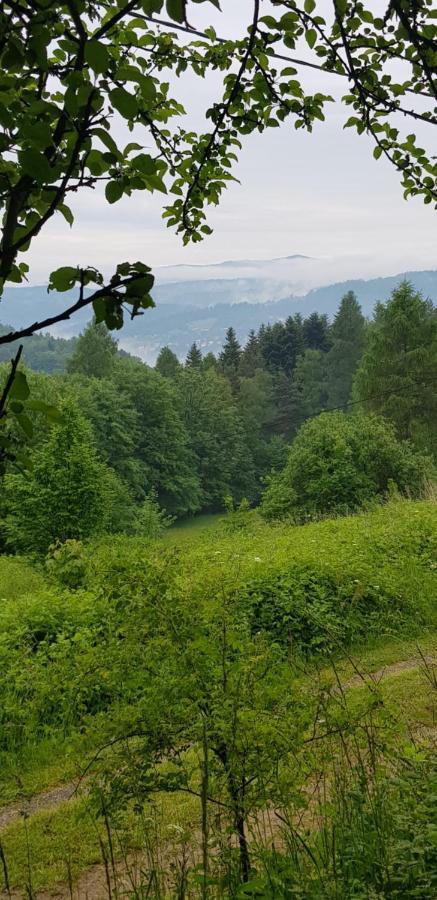 Domek Na Folwarku Тарнава-Дольна Екстер'єр фото